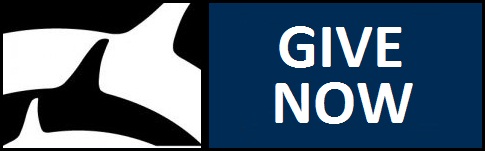 join now logo 3